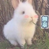 3546