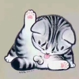 猫奴