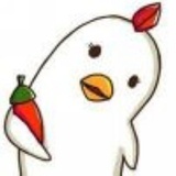 不吃萝卜的兔子