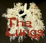 The Lungs