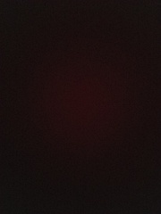 Dismal