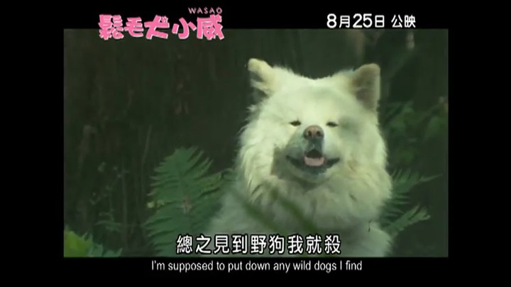 预告片 (中文字幕)