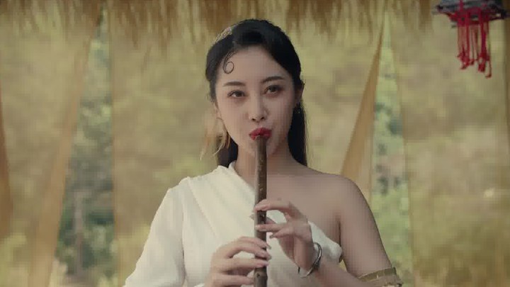 预告片 (中文字幕)