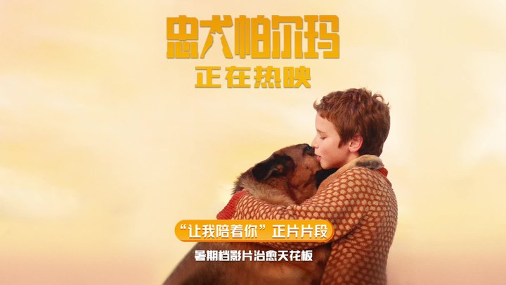 片段 (中文字幕)