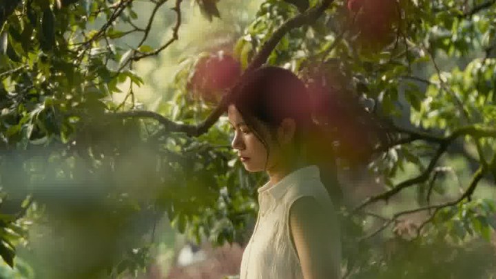 花絮：雷光夏的人海同游 (中文字幕)