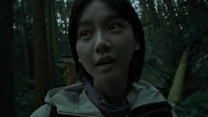 预告片 (中文字幕)