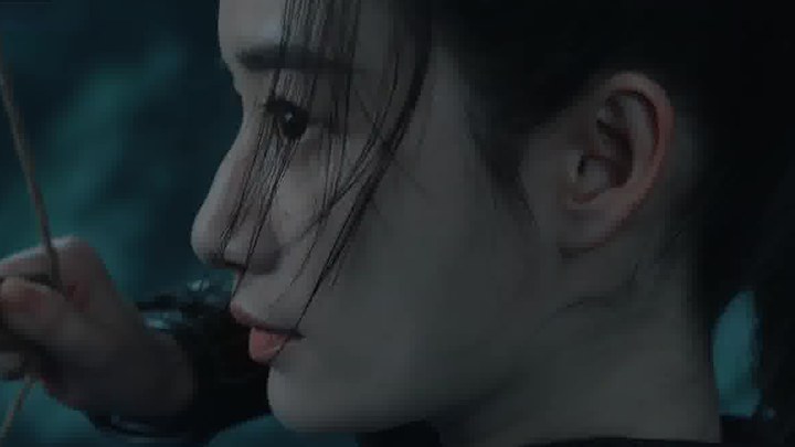 预告片 (中文字幕)