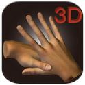 3D 手掌穴道按摩 3D Chinese Hand Acupuncture  (Android)