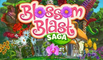 花朵传奇 blossom blast saga