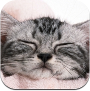 猫相机-让拍照与猫！ (iPhone / iPad)