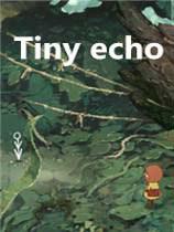微小的回声 Tiny Echo