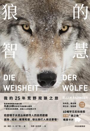 狼的智慧书籍封面