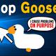 桌面大鹅 Goose Desktop