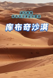 热门活动-端午假期：库布奇沙漠徒步露营