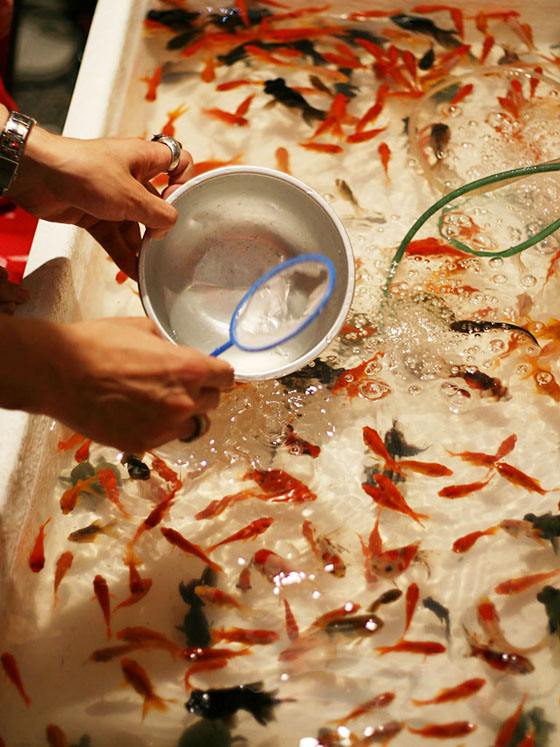 老洋房の夏日祭 捞金鱼 穿浴衣 风铃 蒲扇 还有花火 金平糖 豆瓣