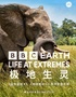 BBC EARTH 极地生灵数字影像大展